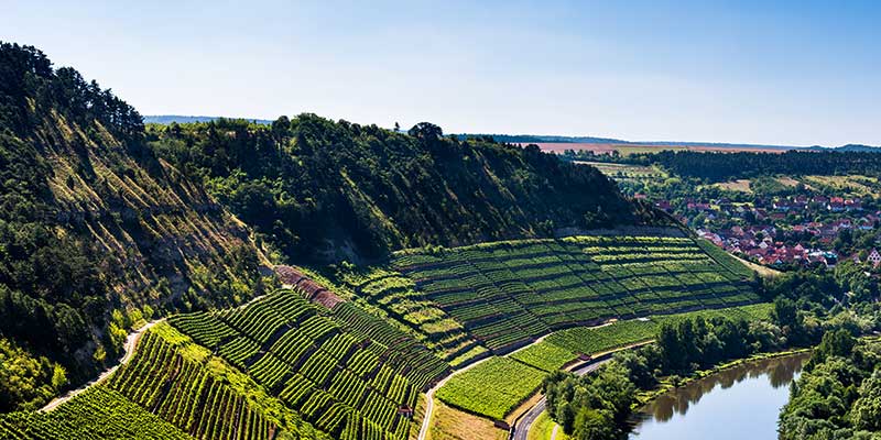 unsere-weinberge-in-kleinheubach